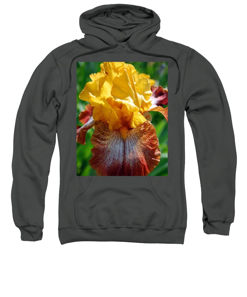 Flower Sweatshirt featuring the photograph Iris 1 by Amy Fose