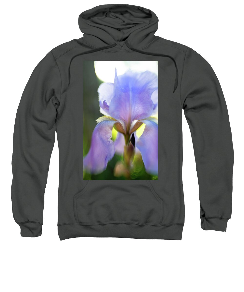  Iris Sweatshirt featuring the photograph Iris pallida by Pamela Taylor