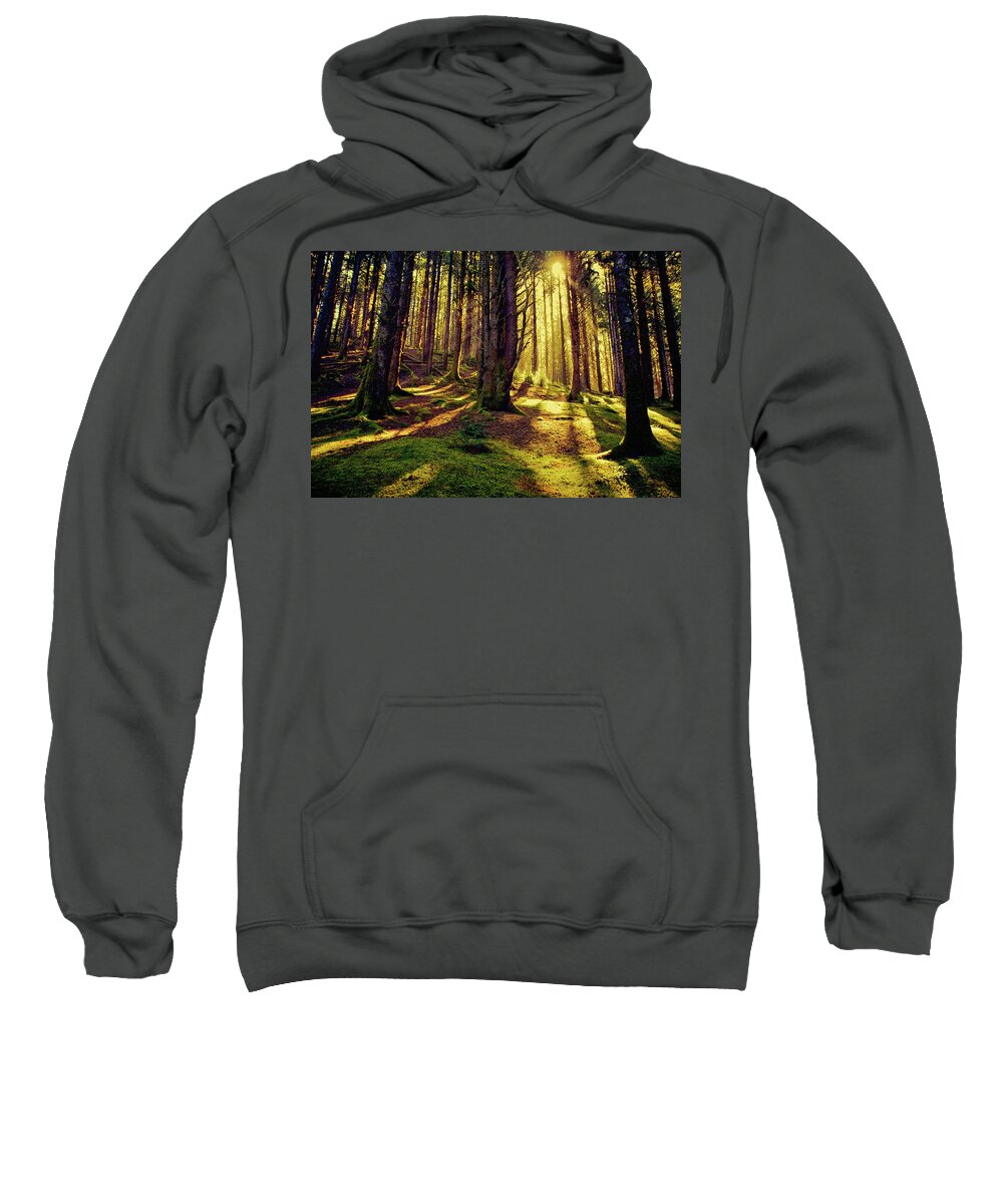 Beautiful Morning Sweatshirt featuring the photograph It's a Beautiful Morning by Bonnie Bruno