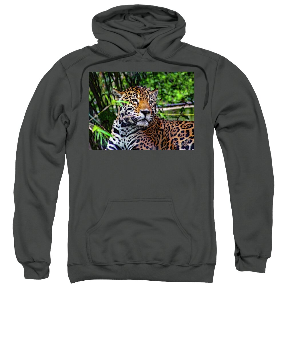 Jaguars Sweatshirt featuring the mixed media Jaguar at Peace by DB Hayes