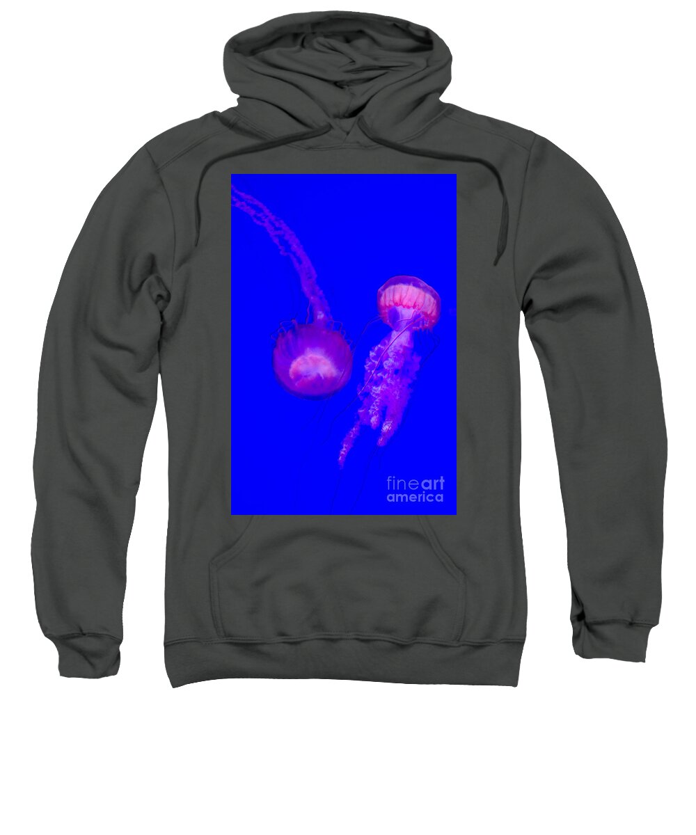 Jellyfish Sweatshirt featuring the photograph Jellyfish Pair-8767 by Steve Somerville