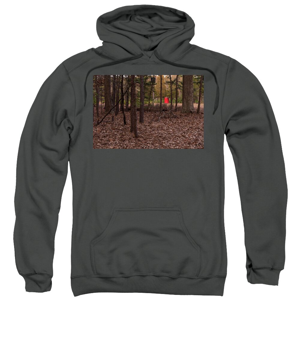 Terry D Photography Sweatshirt featuring the photograph Johnny In The Right Spot Color by Terry DeLuco