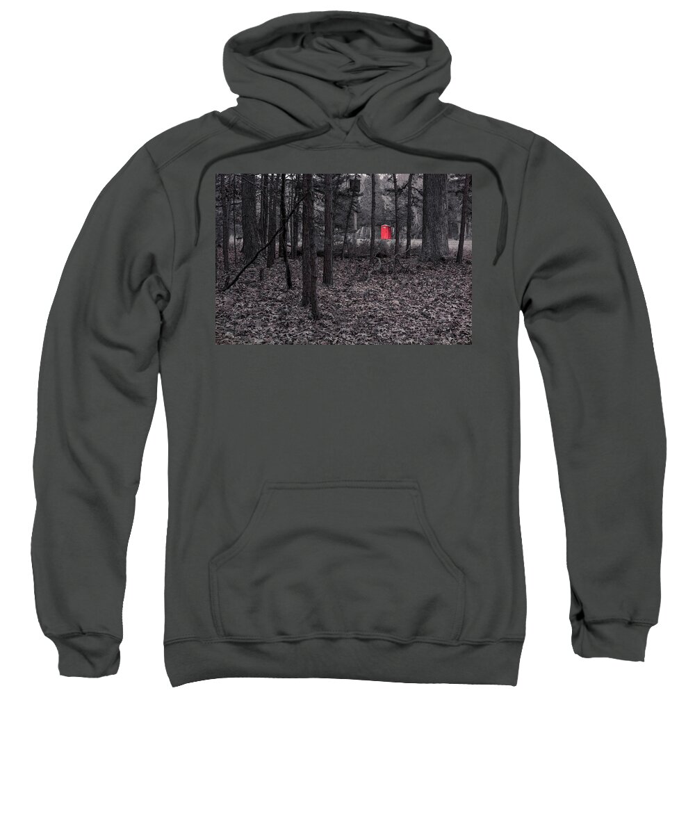 Terry D Photography Sweatshirt featuring the photograph Johnny In The Right Spot by Terry DeLuco