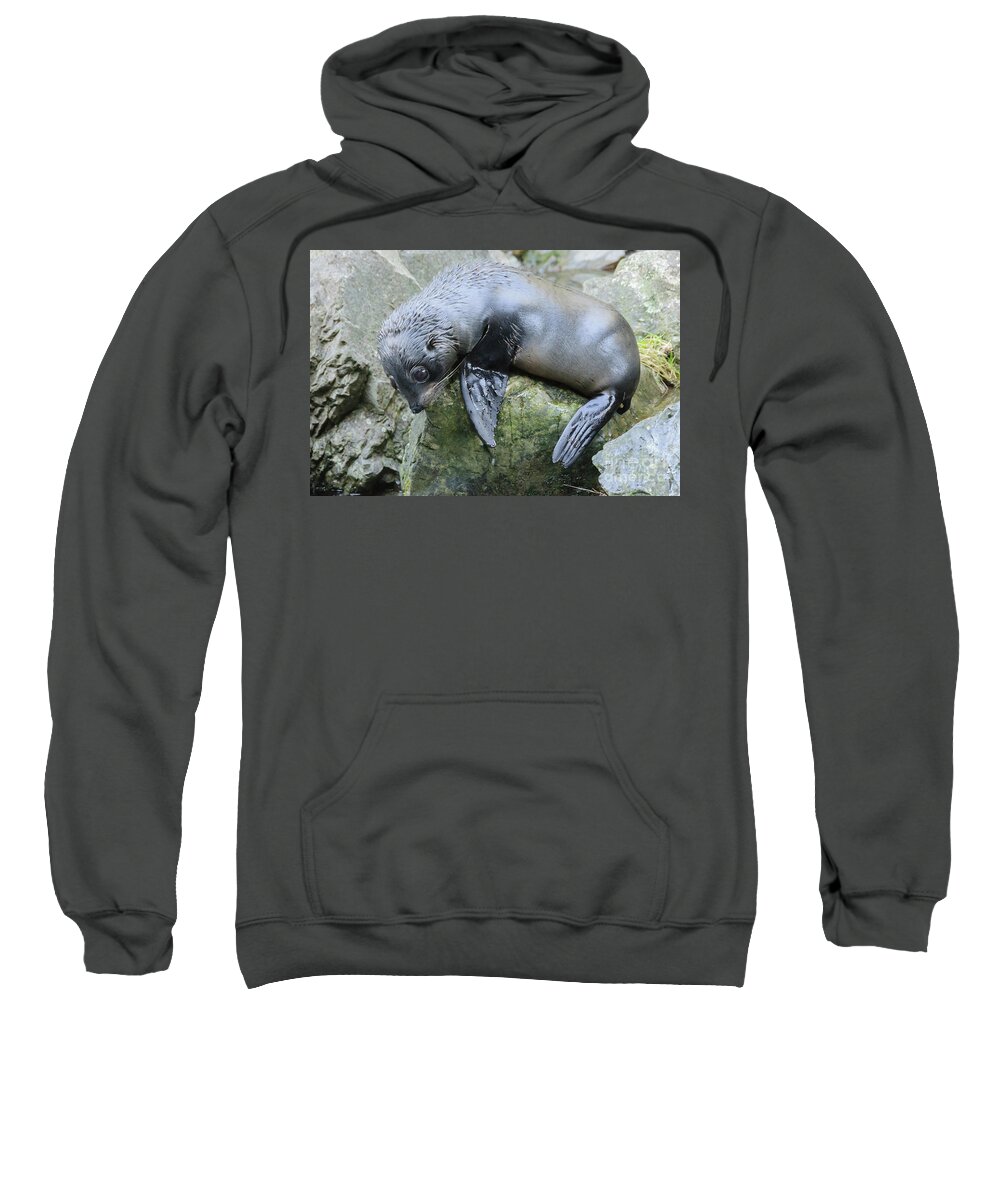 Wildlife Sweatshirt featuring the photograph Just Plain Exhausted by Werner Padarin