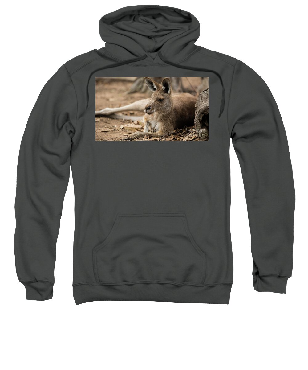 Australia Sweatshirt featuring the photograph Kangaroo by Agnes Caruso