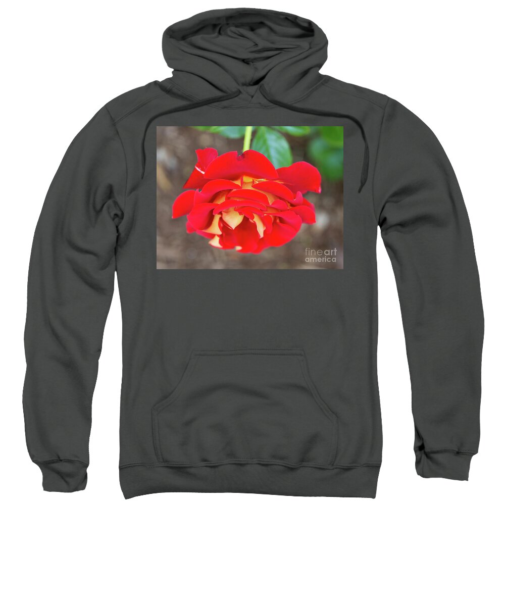 Rosa Sweatshirt featuring the photograph Ketchup and Mustard Rose by Louise Heusinkveld