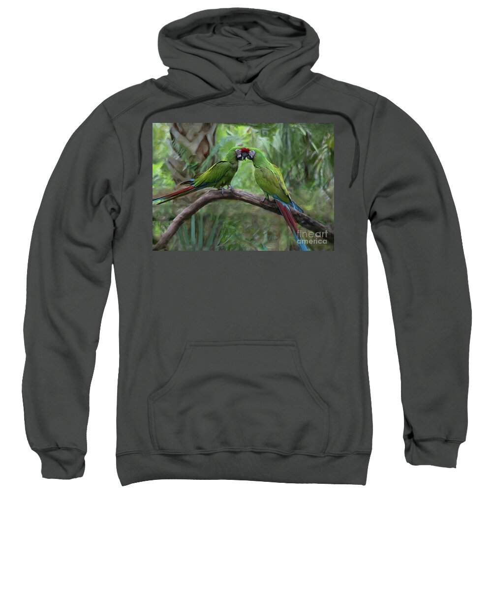Macaw Sweatshirt featuring the photograph Kissing Macaws by Jeff Breiman