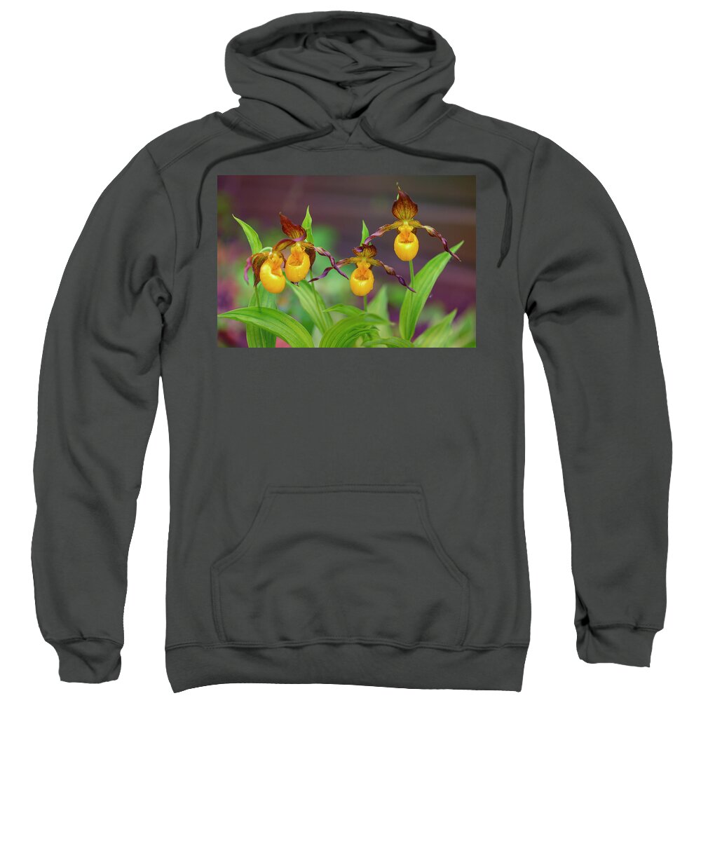 Wild Flowers Sweatshirt featuring the photograph Lady Moccasins by Nancy Dunivin