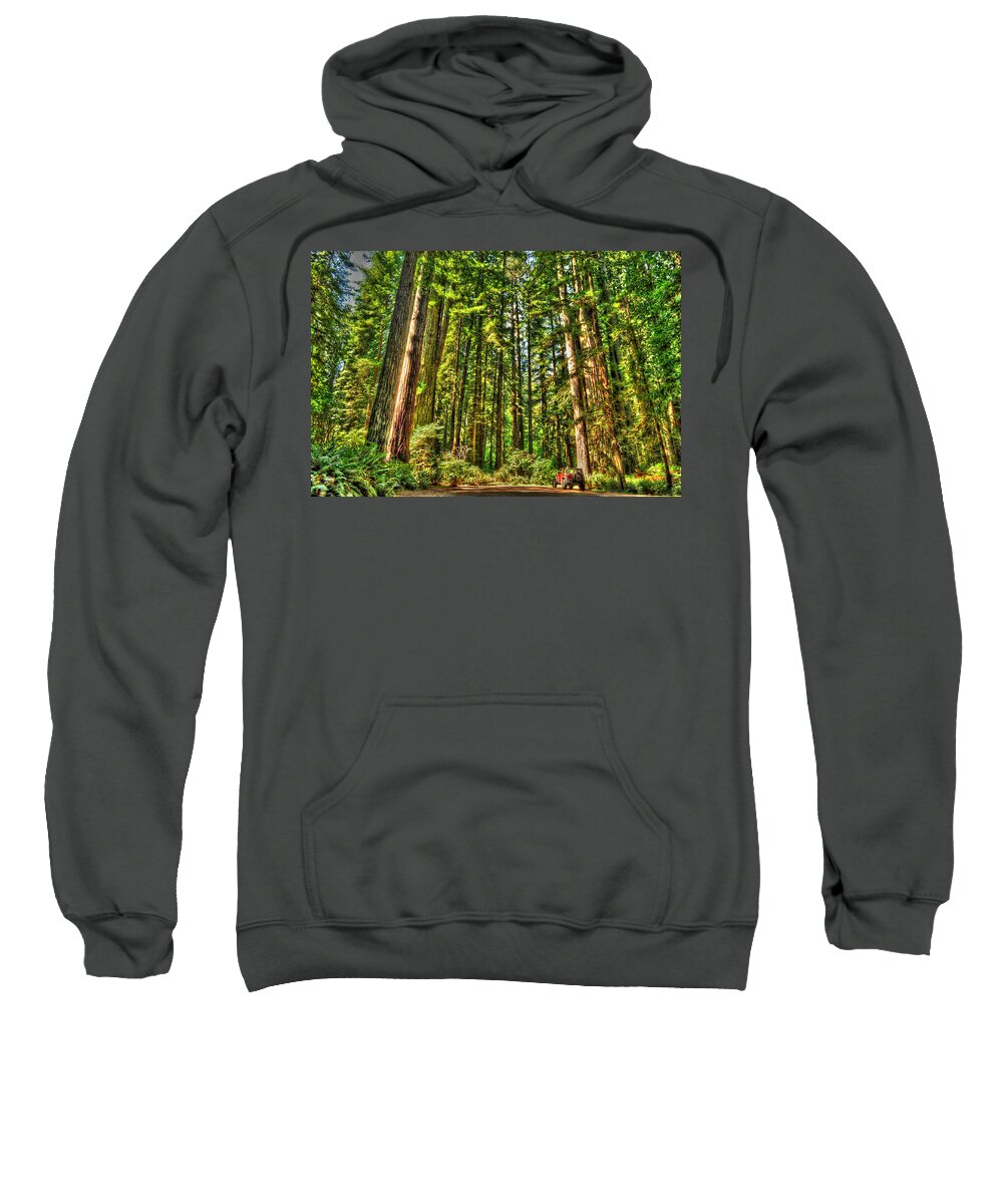 Photograph Sweatshirt featuring the photograph Land of the Giants by Richard Gehlbach