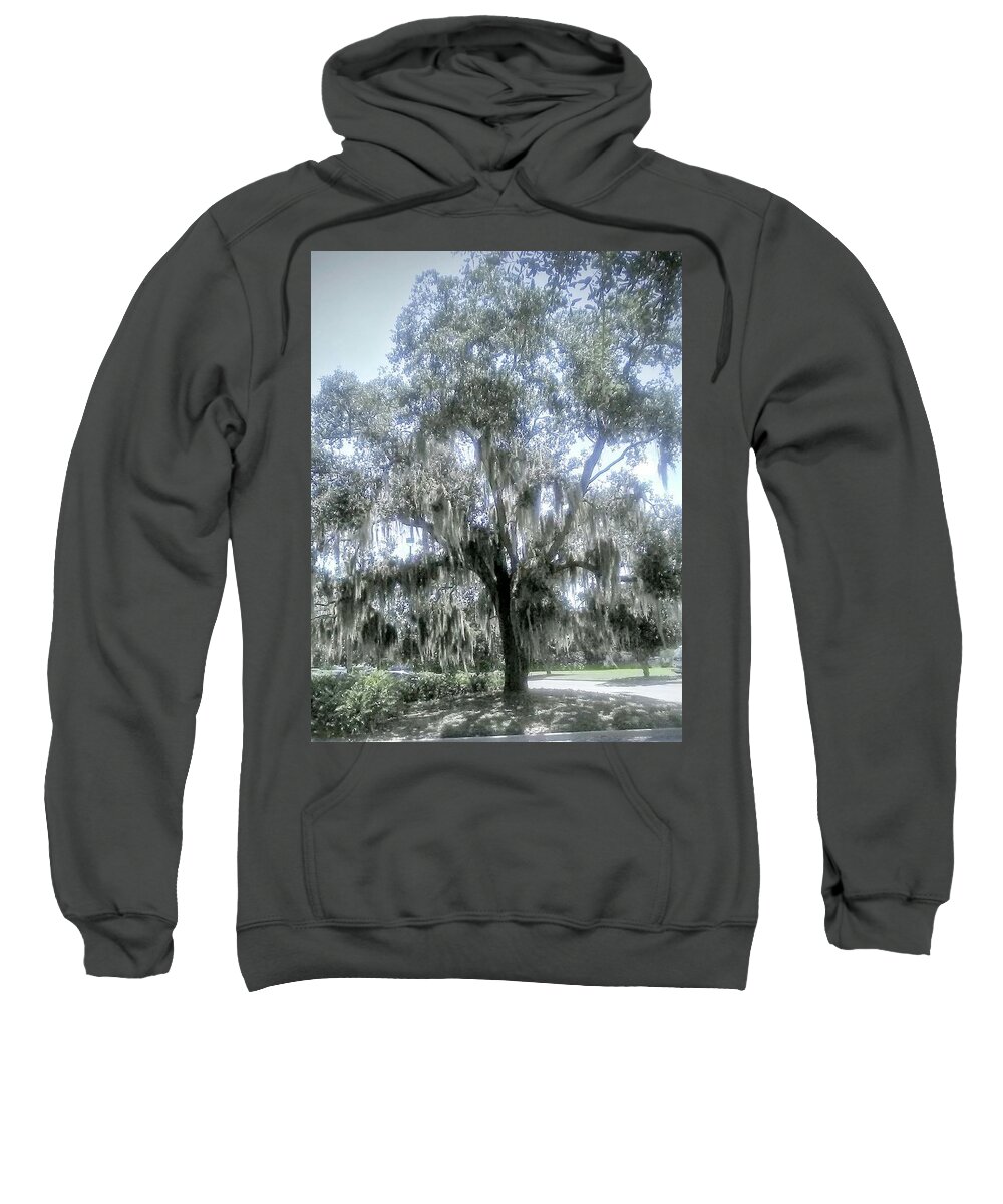 Tree. Florida Sweatshirt featuring the photograph Largo's Spanish Moss by Suzanne Berthier