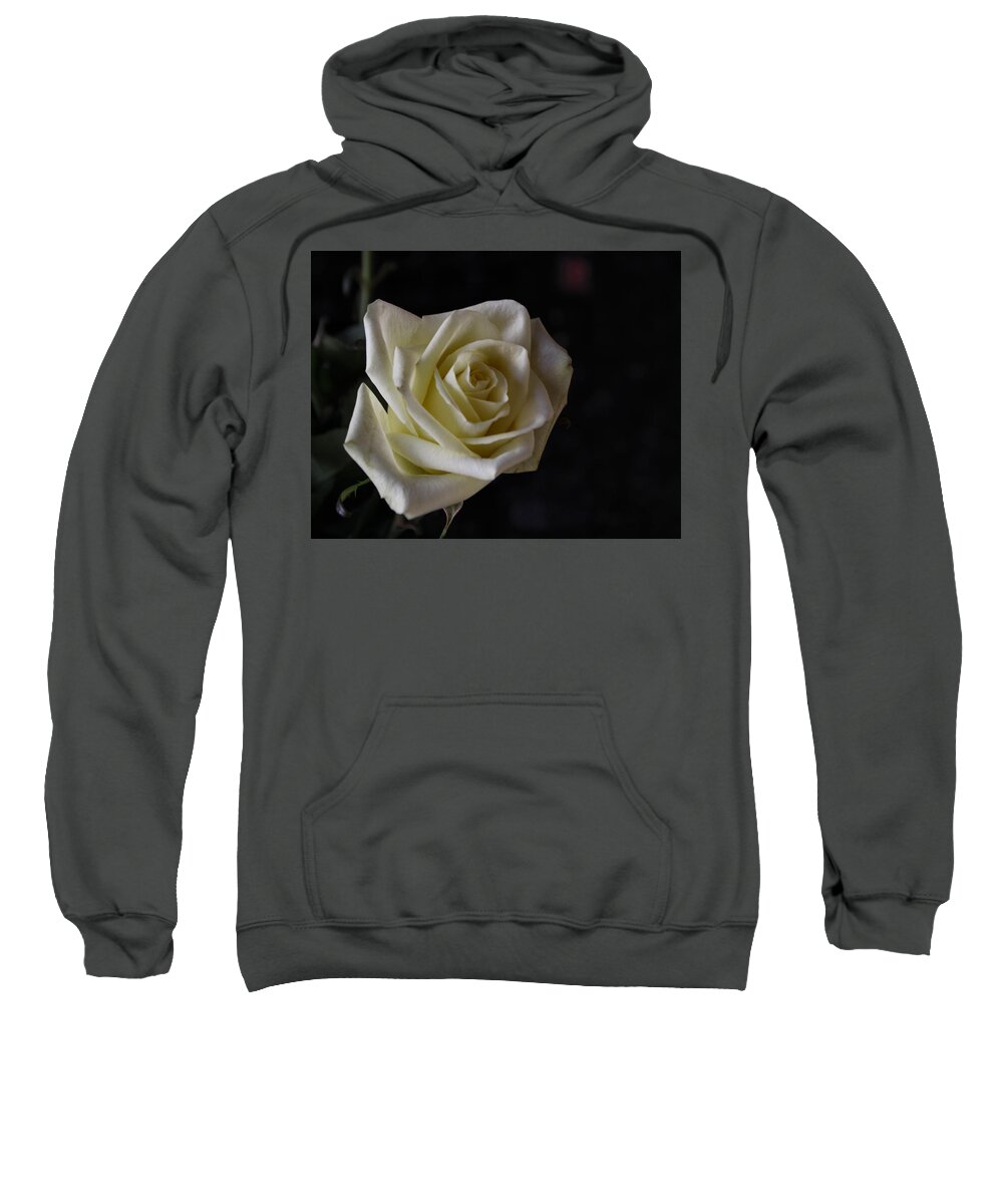 Rose Sweatshirt featuring the photograph Last of the 1st Rose of Spring by Lin Grosvenor