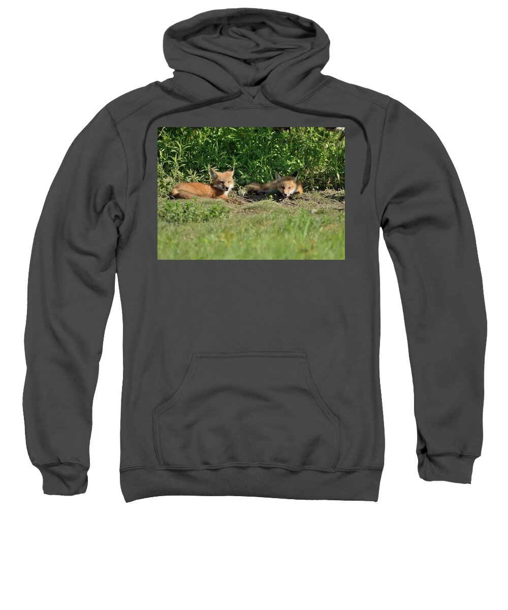Nature Sweatshirt featuring the photograph Lazy Sunday at The Den-Fox Kits by David Porteus