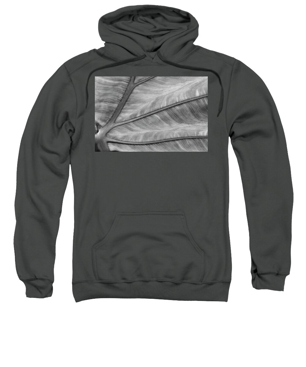 Wall Art Sweatshirt featuring the photograph Leaf Abstraction by Jeffrey PERKINS