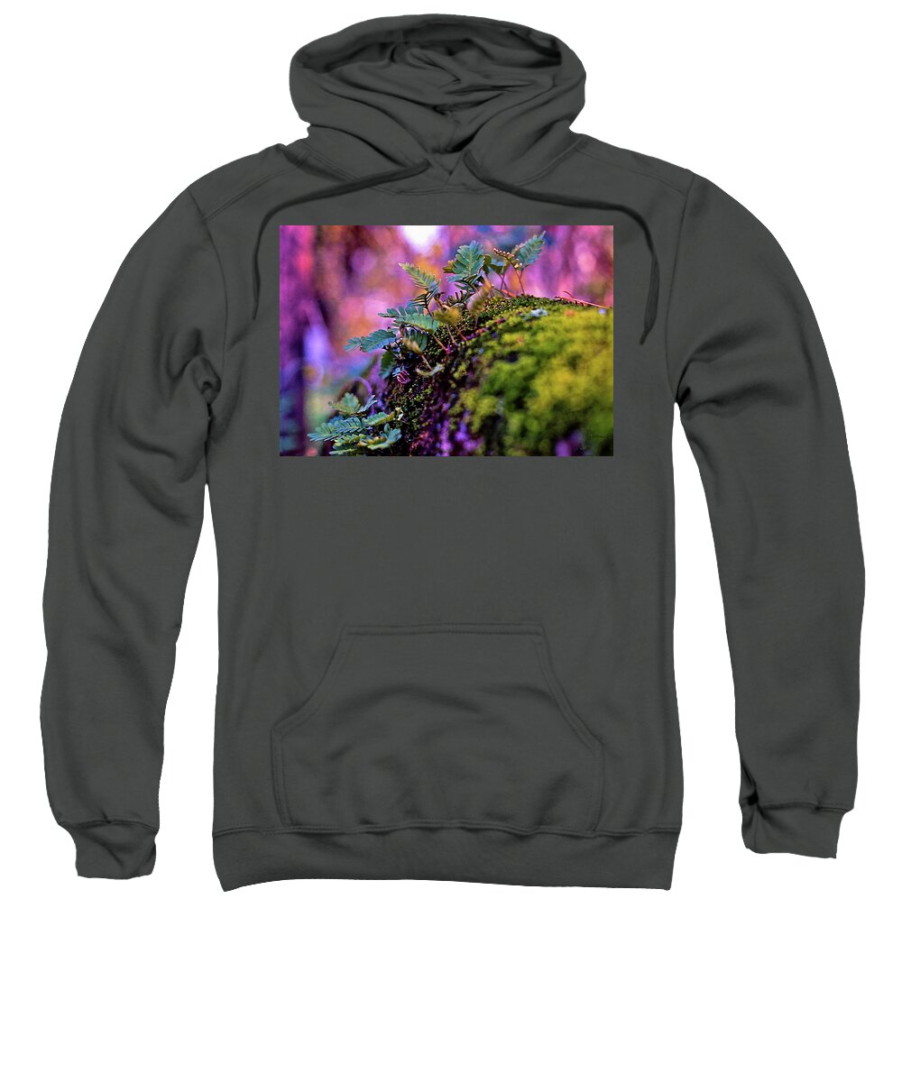 Leaves On A Log Sweatshirt featuring the photograph Leaves On A Log by Bellesouth Studio