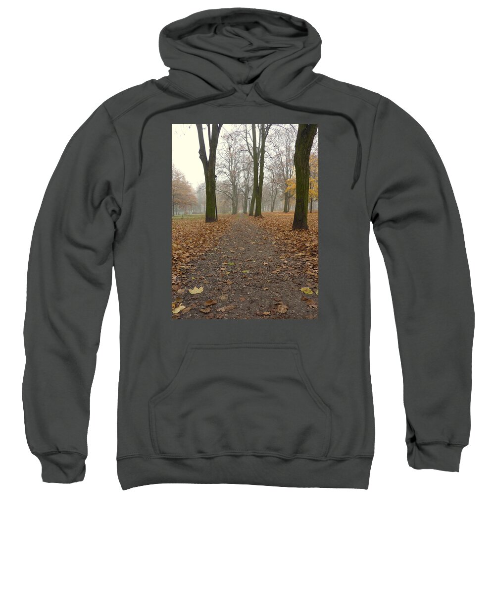Leaves Sweatshirt featuring the photograph Leaves on the path by Lukasz Ryszka