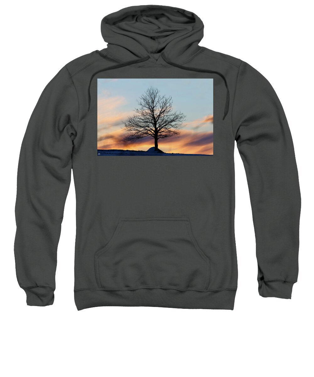 Tree Sweatshirt featuring the photograph Liberty Tree Sunset by John Meader