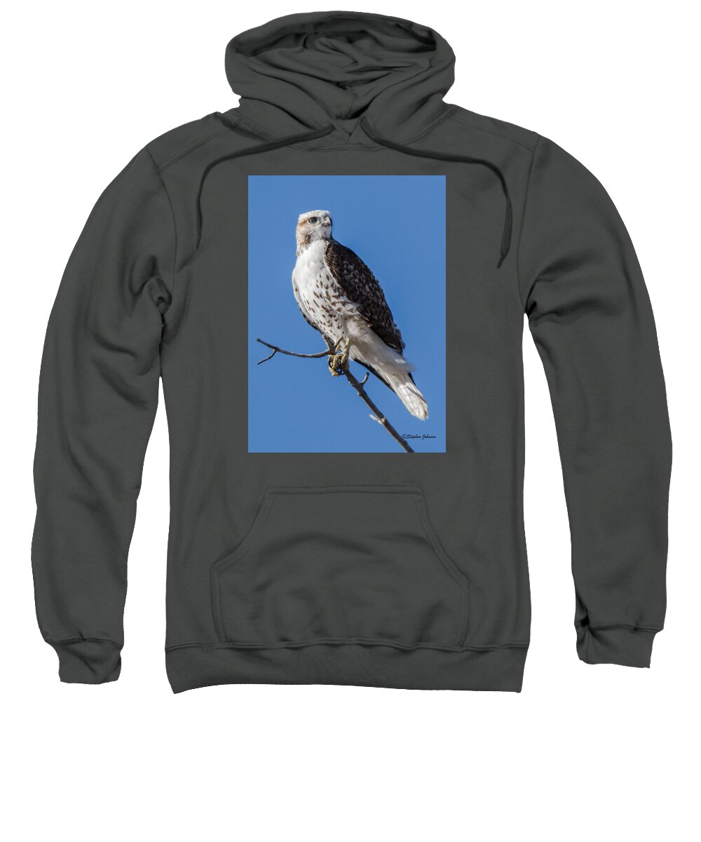 Red-tailed Hawk Sweatshirt featuring the photograph Light Morph Red-tailed Hawk by Stephen Johnson
