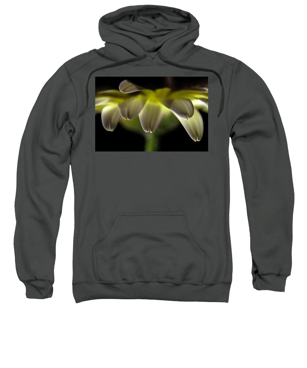 Flower Sweatshirt featuring the photograph Lighting up the petals by Wolfgang Stocker