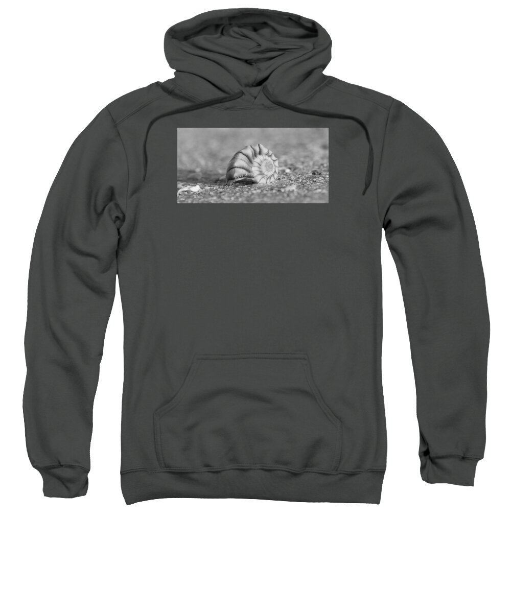 Southwest Sweatshirt featuring the photograph Lightning Whelk by Sean Allen