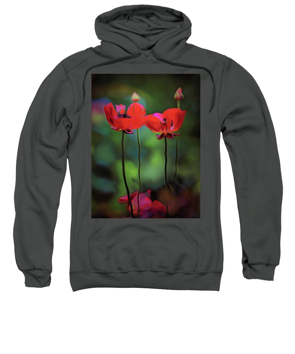 #migophotos Sweatshirt featuring the digital art Like anything else, this too shall pass.... by Michael Goyberg