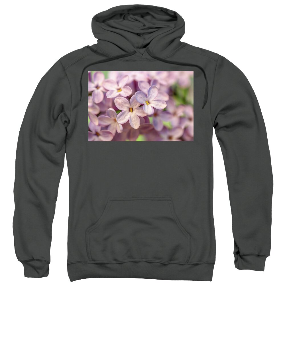 Lilac Sweatshirt featuring the photograph Lilac Blossom by Mary Anne Delgado