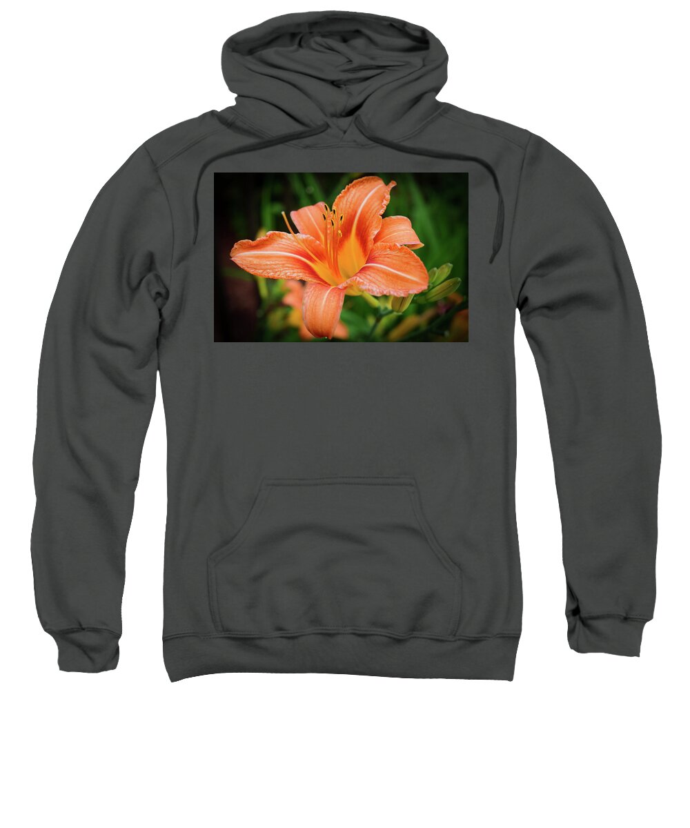 Flower Sweatshirt featuring the photograph Lily by Nicole Lloyd