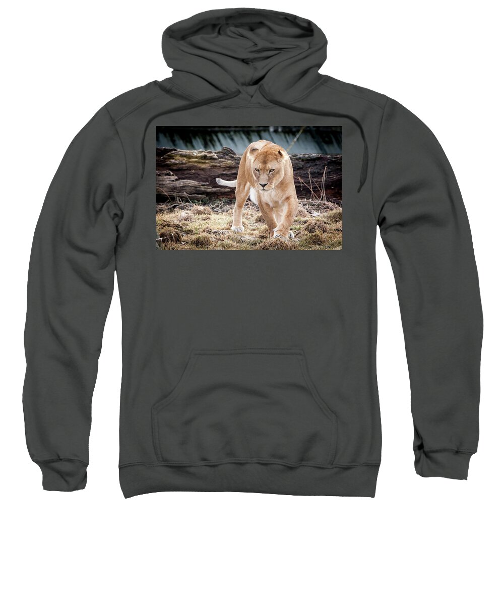 Germany Sweatshirt featuring the photograph Lion Eyes by John Wadleigh