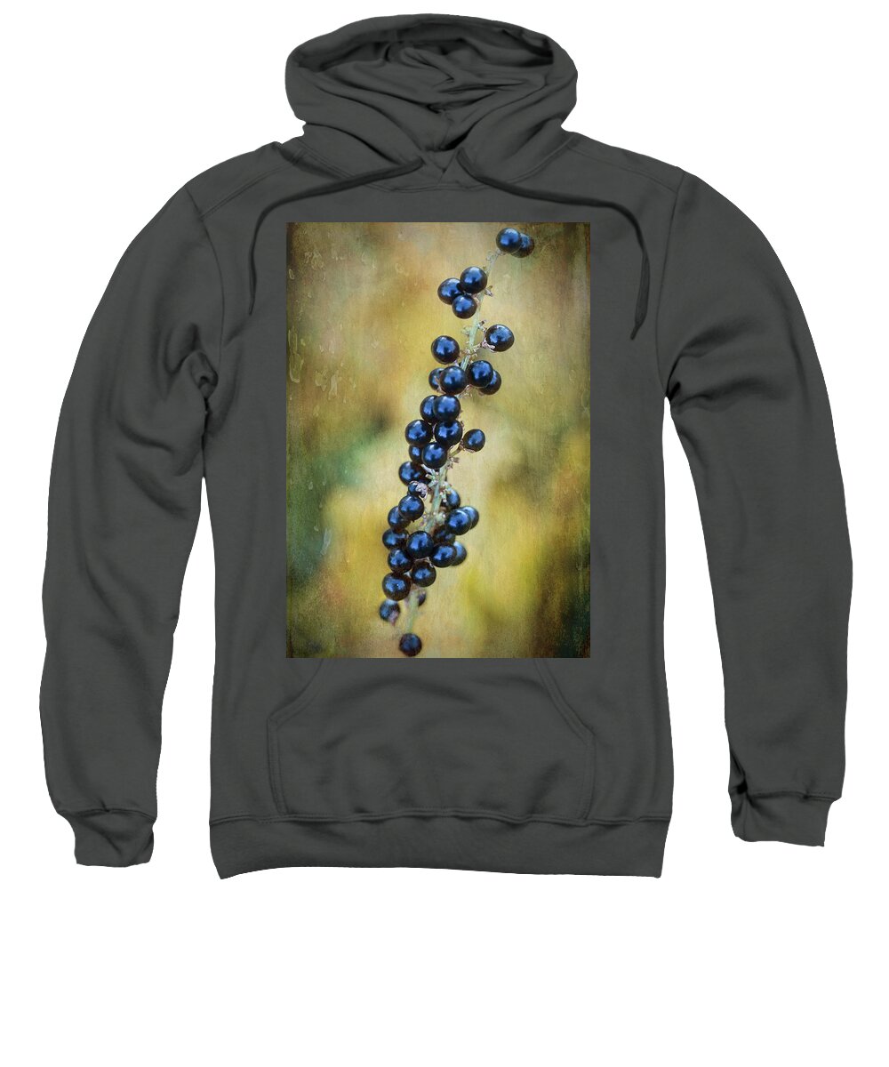 Nature Sweatshirt featuring the photograph Liriope stalk by Robert FERD Frank