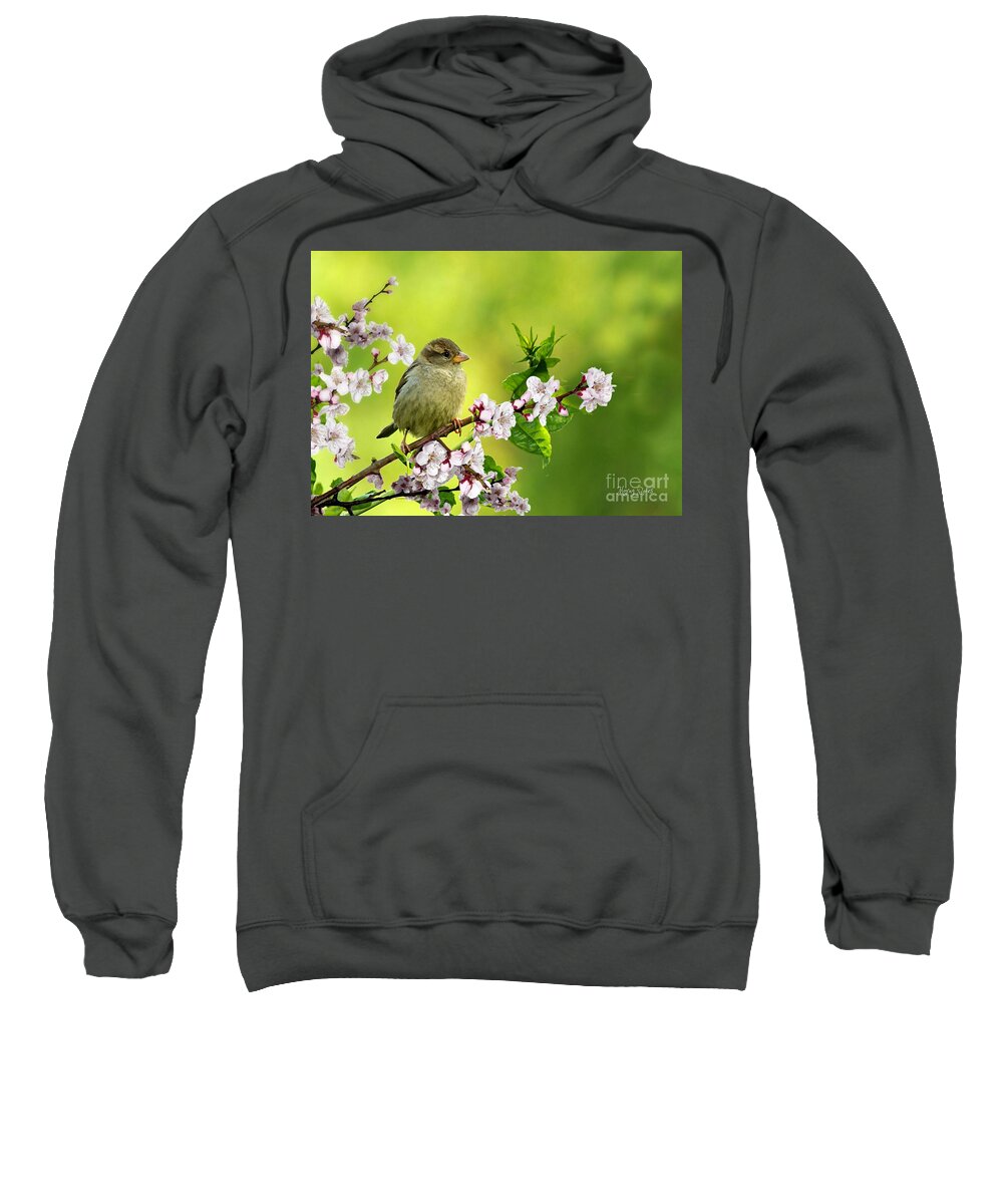 Sparrow Sweatshirt featuring the pyrography Little Sparrow by Morag Bates