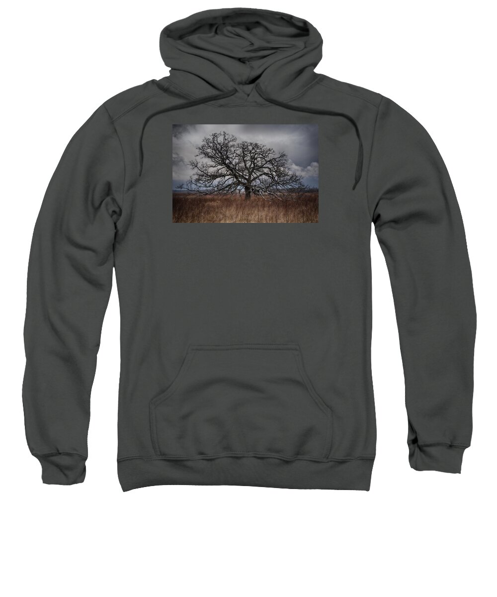  Sweatshirt featuring the photograph Loan Oak II by Dan Hefle