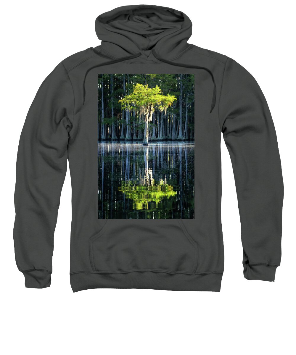 Abstract Sweatshirt featuring the photograph Lonely Cypress - 2 by Alex Mironyuk
