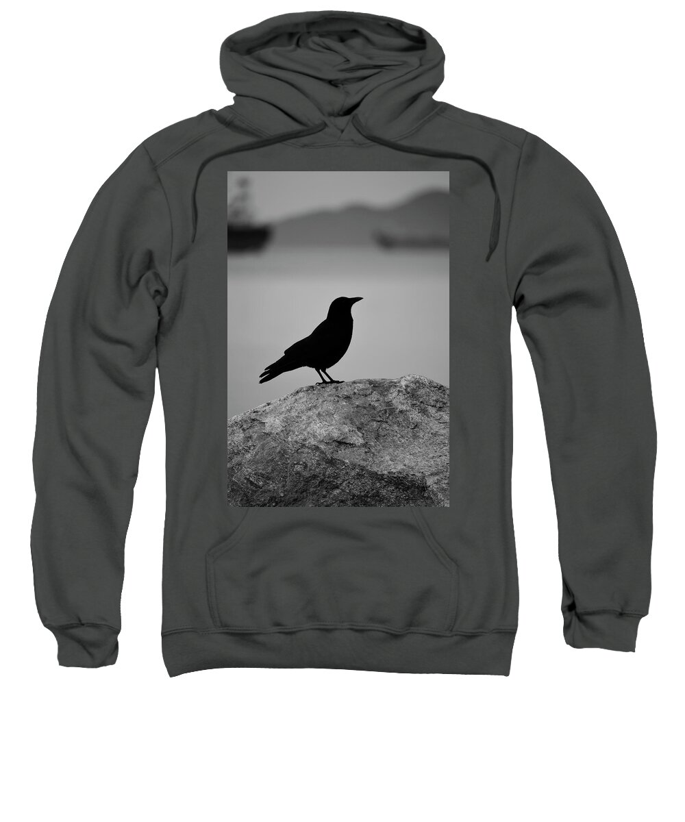 Birds Sweatshirt featuring the photograph Lost wings by J C