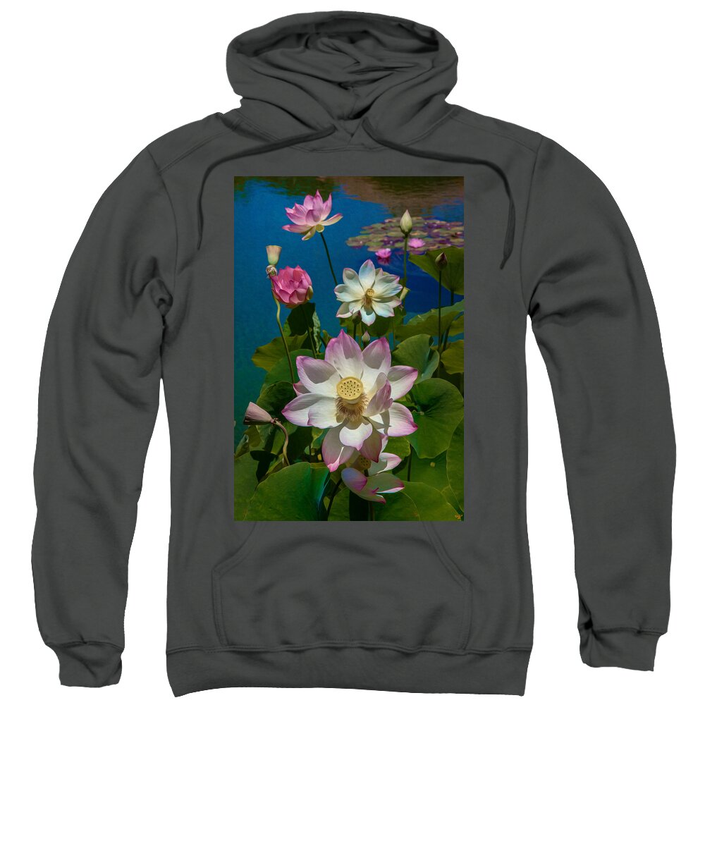 Lotus Sweatshirt featuring the photograph Lotus Pool by Chris Lord