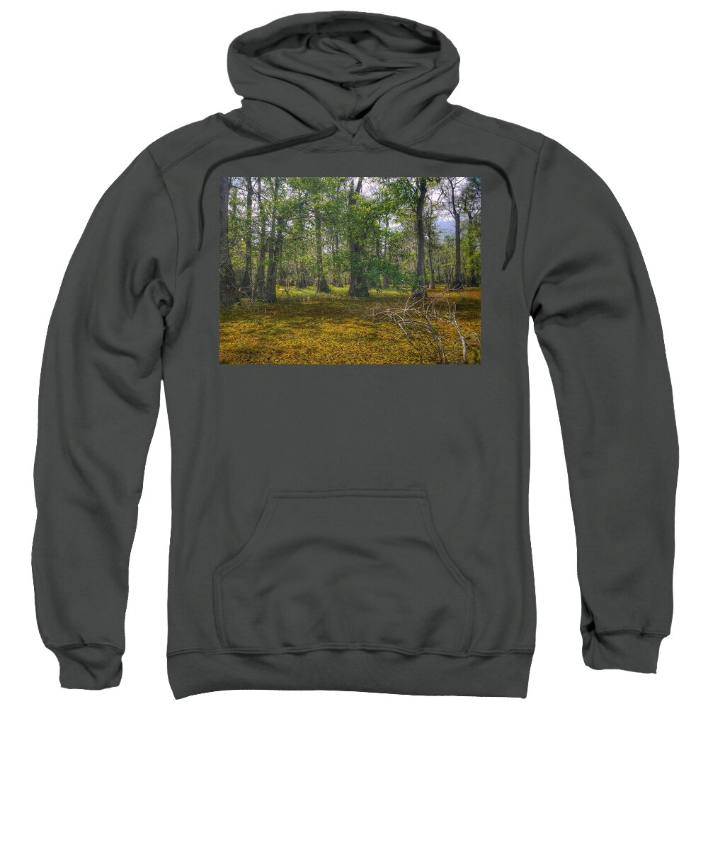 Blue Sweatshirt featuring the photograph Louisiana Swamp by Mary Capriole
