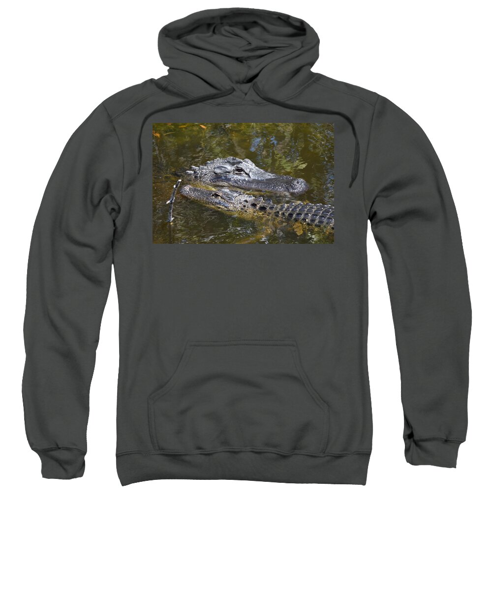 Alligator Sweatshirt featuring the photograph Love is in the Water by Jim Bennight