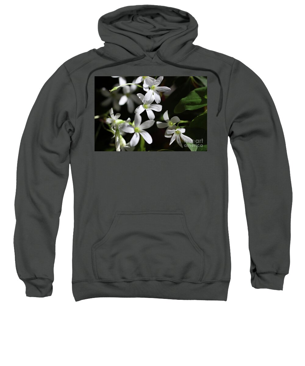 Shamrock Flowers Sweatshirt featuring the photograph Lucky Light by Karen Adams