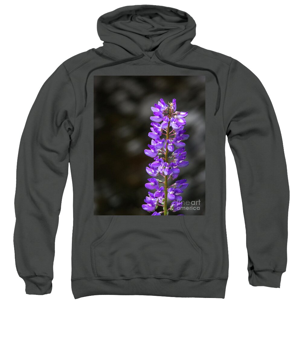 Lupine Sweatshirt featuring the photograph Lupine by Anthony Michael Bonafede