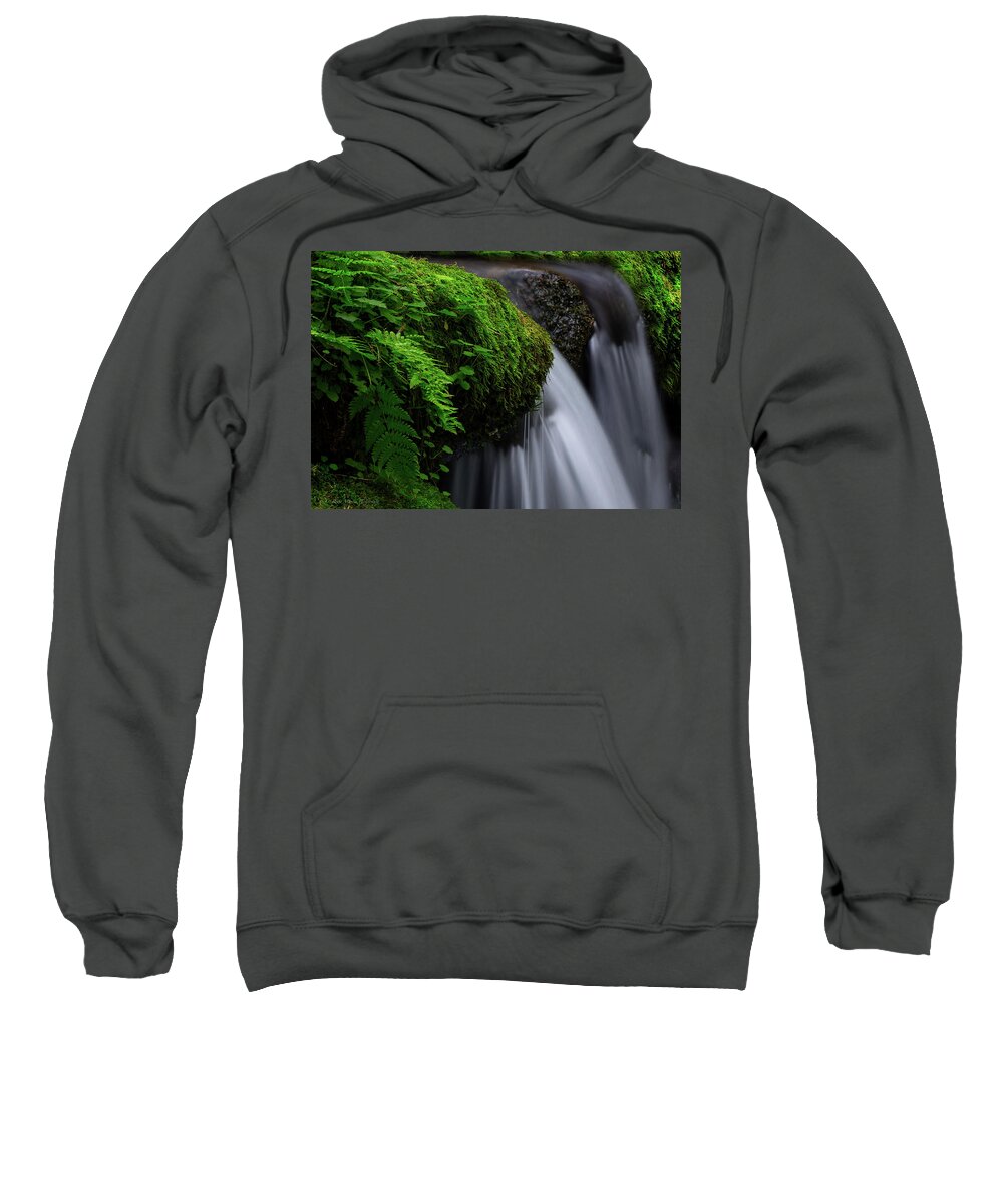 Water Sweatshirt featuring the photograph Lush Cascade by C Renee Martin