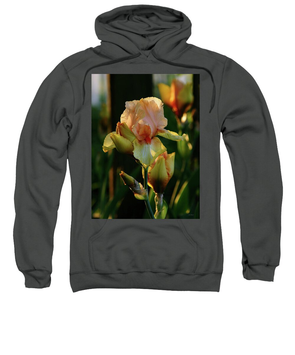 Luxurious Sweatshirt featuring the photograph Luxurious Nature 6764 H_2 by Steven Ward