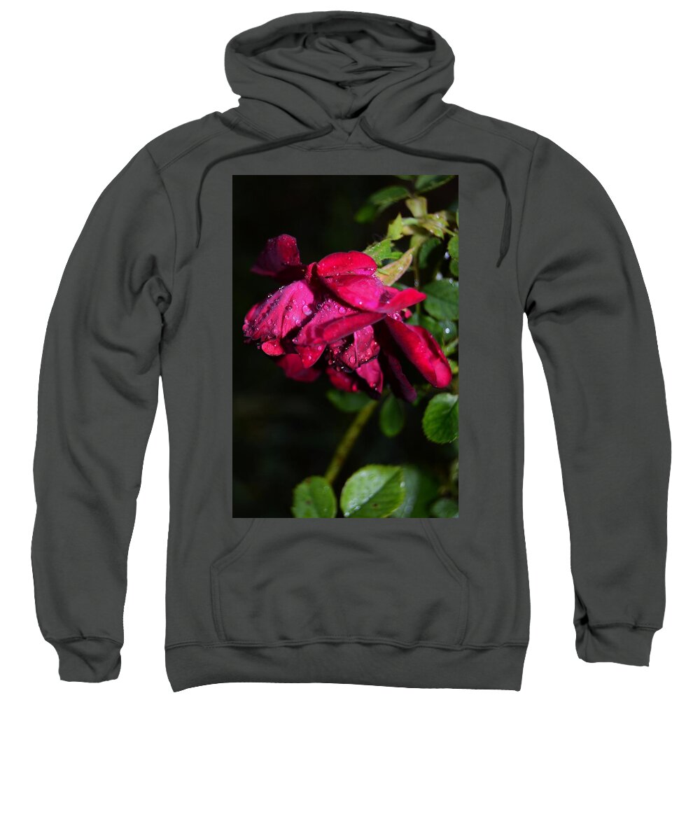 Macro Rose Sweatshirt featuring the photograph Macro Rose by Warren Thompson