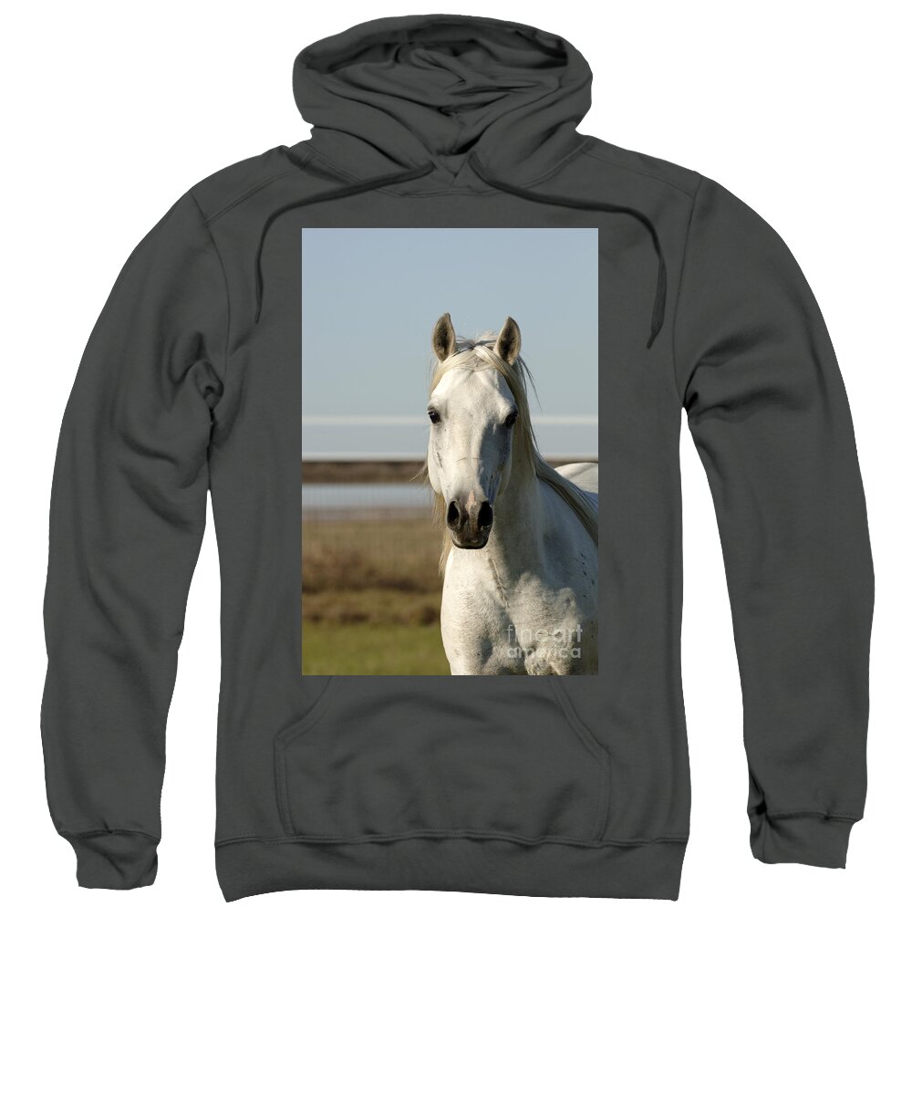 Magic Sweatshirt featuring the photograph Magic by Carien Schippers