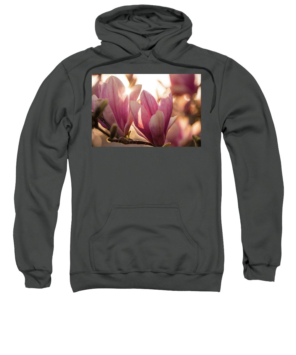Flowers Sweatshirt featuring the photograph Magnolias at sunset by Lindy Grasser