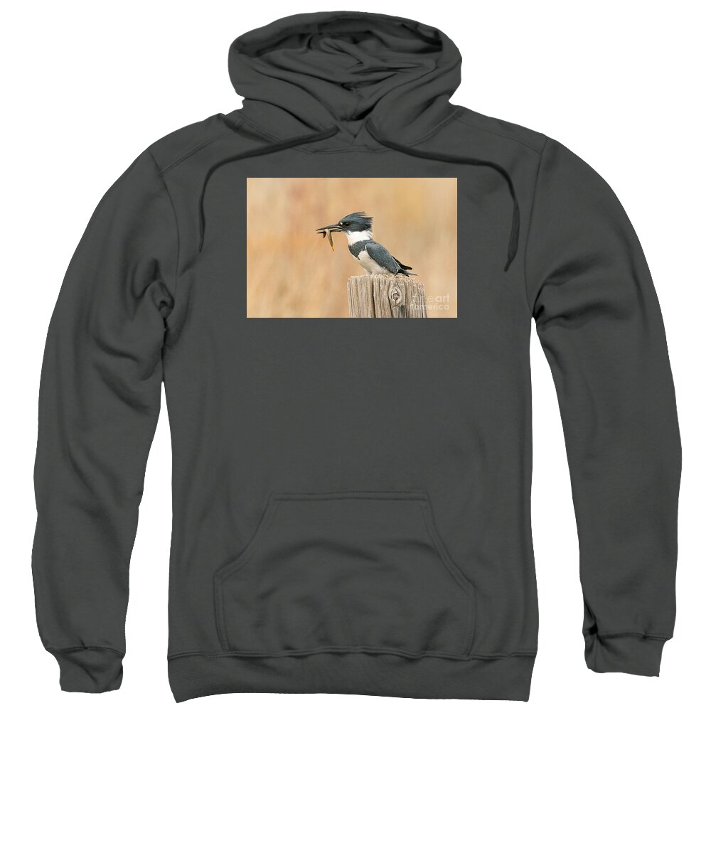 Bird Sweatshirt featuring the photograph Male Kingfisher with Fresh Water Eel by Dennis Hammer