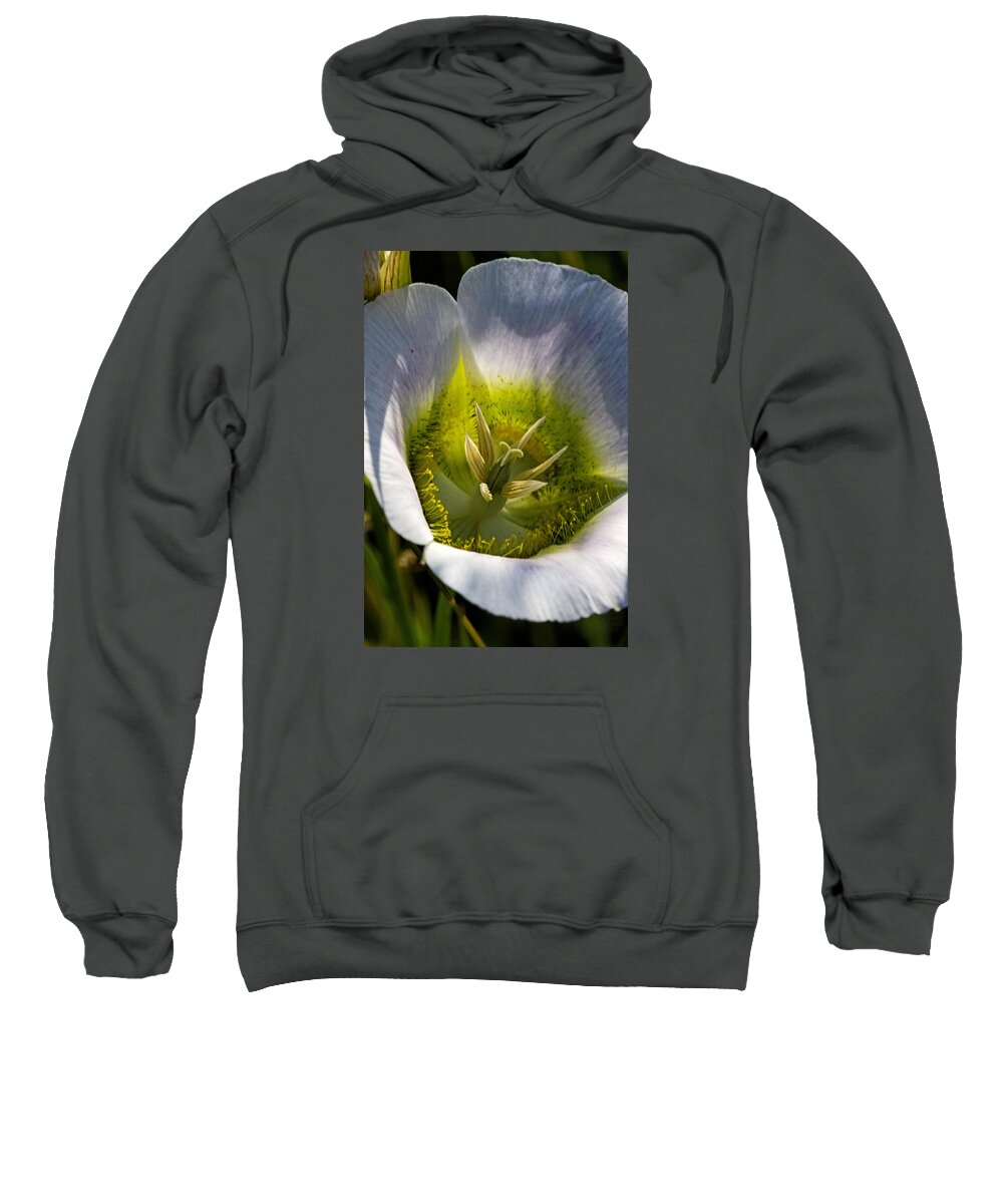 Botanical Sweatshirt featuring the photograph Mariposa Lily by Alana Thrower