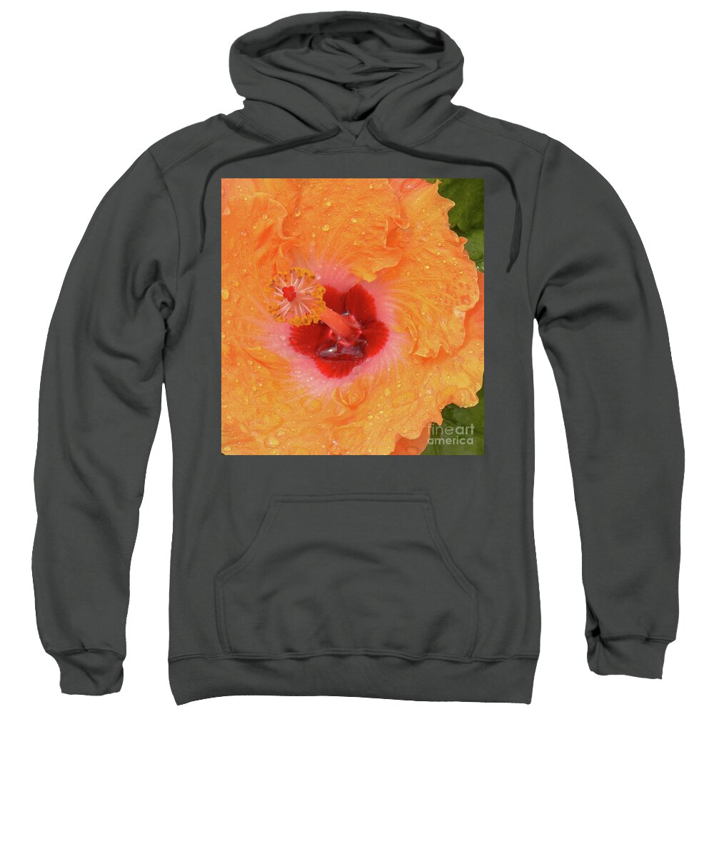Flower Sweatshirt featuring the photograph Marooned by Barry Bohn
