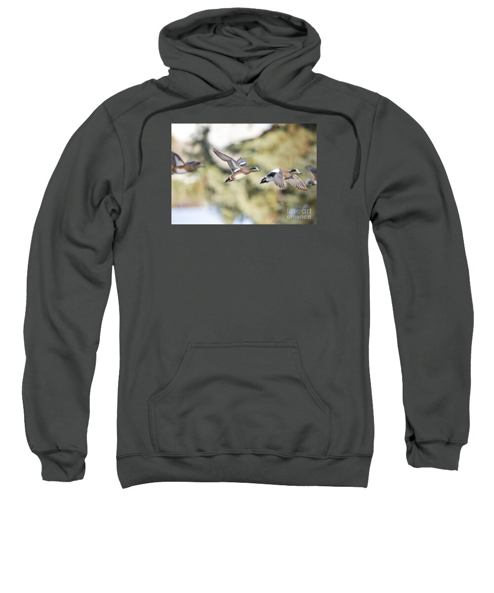 Duck Sweatshirt featuring the photograph Masked Procession by Douglas Kikendall