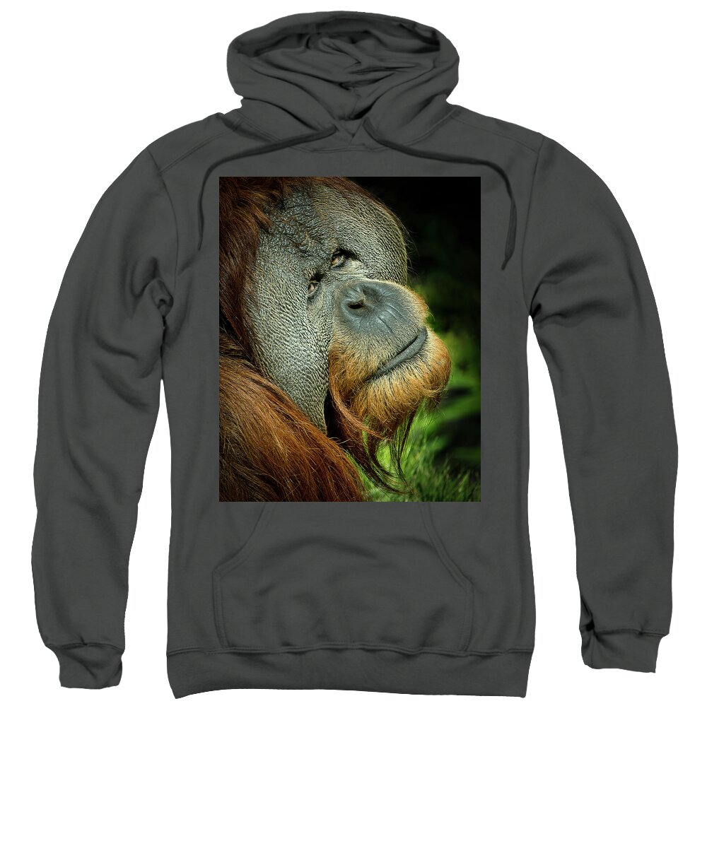 Animal Sweatshirt featuring the photograph Melancholy by Bruce Bonnett