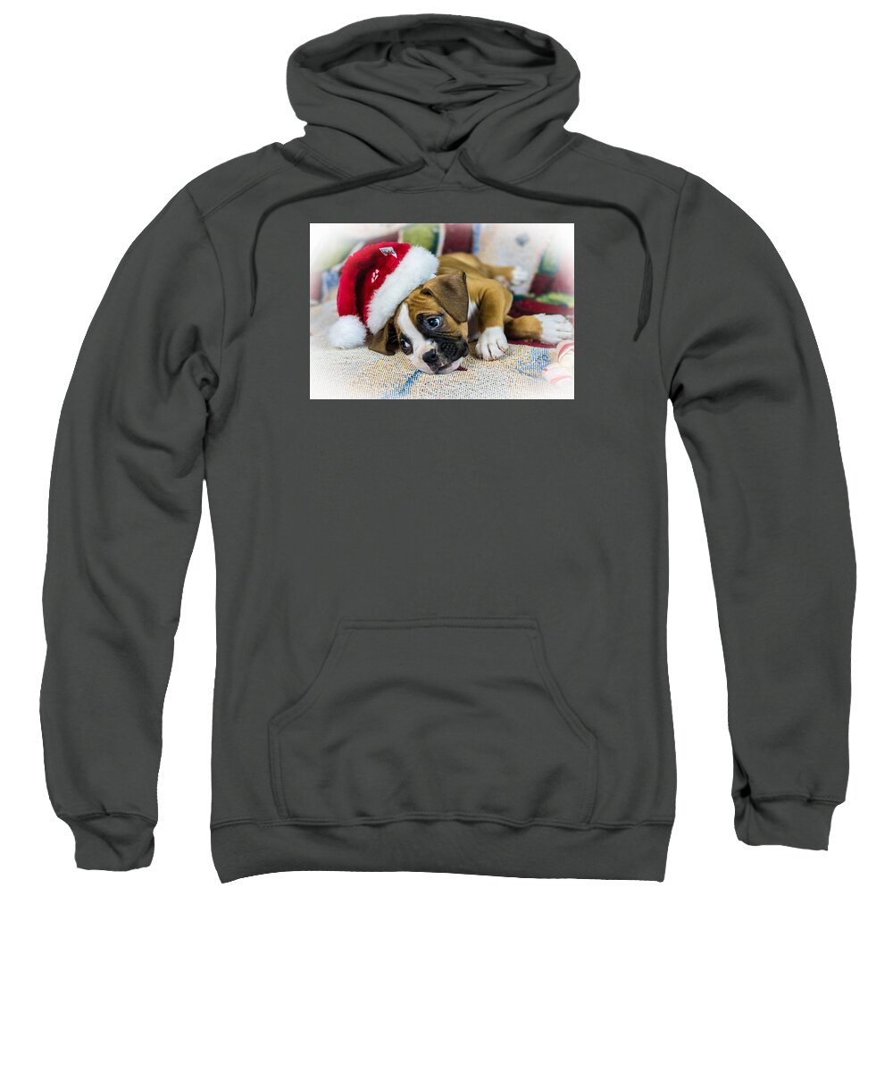 Merry Christmas Sweatshirt featuring the photograph Merry Christmas from Oscar by George Kenhan