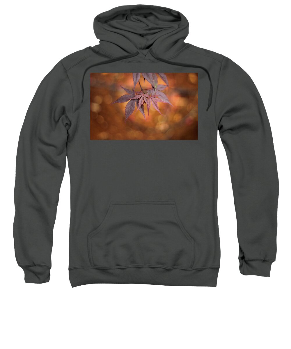 Leaves Sweatshirt featuring the photograph Mesmerize by Viviana Nadowski