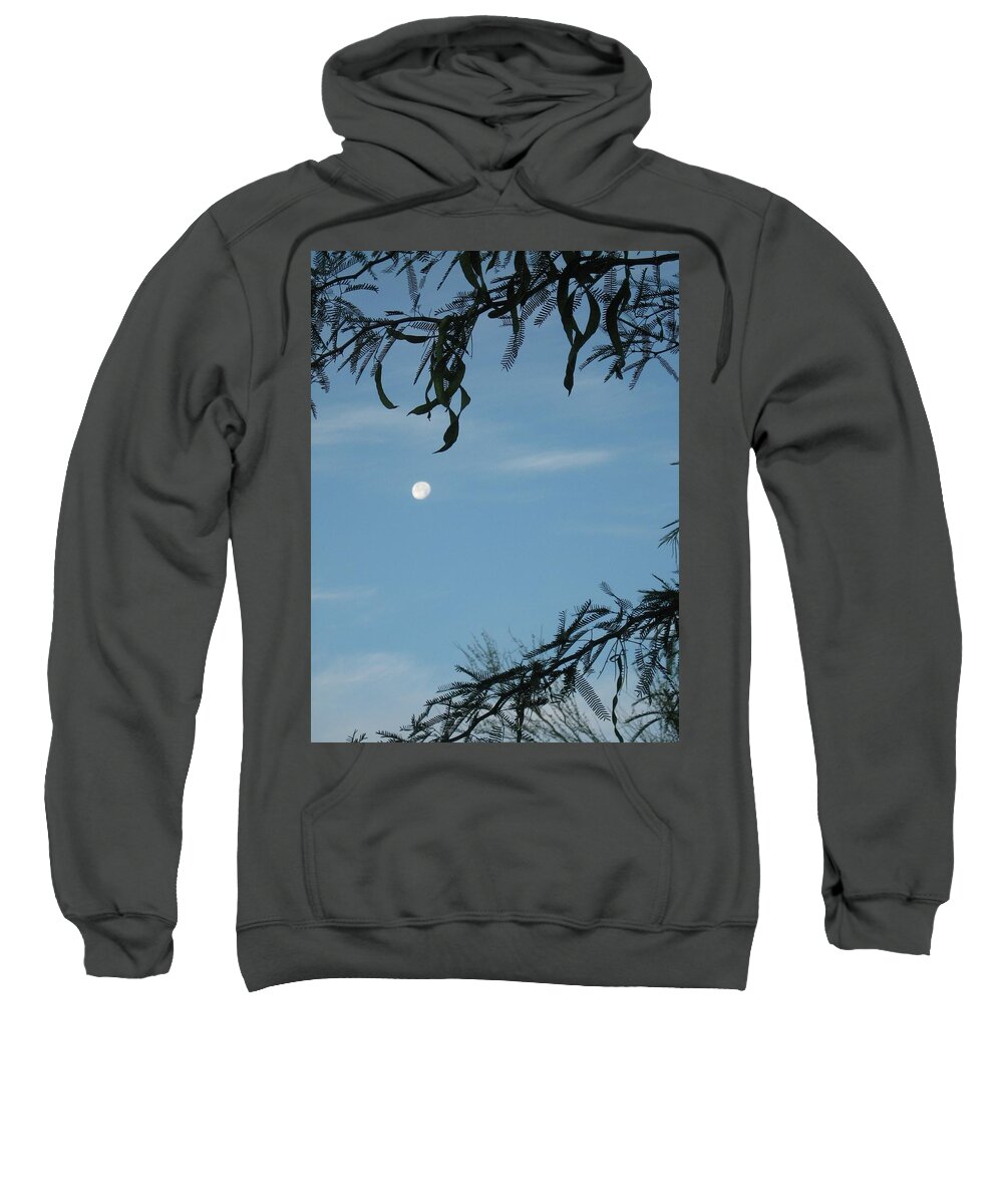 Mesquite Sweatshirt featuring the photograph Mesquite Growing Season by Judith Lauter